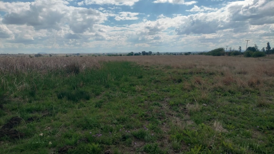Commercial Property for Sale in Fairview Free State